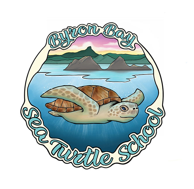 Byron Bay Sea Turtle School Is Coming Soon